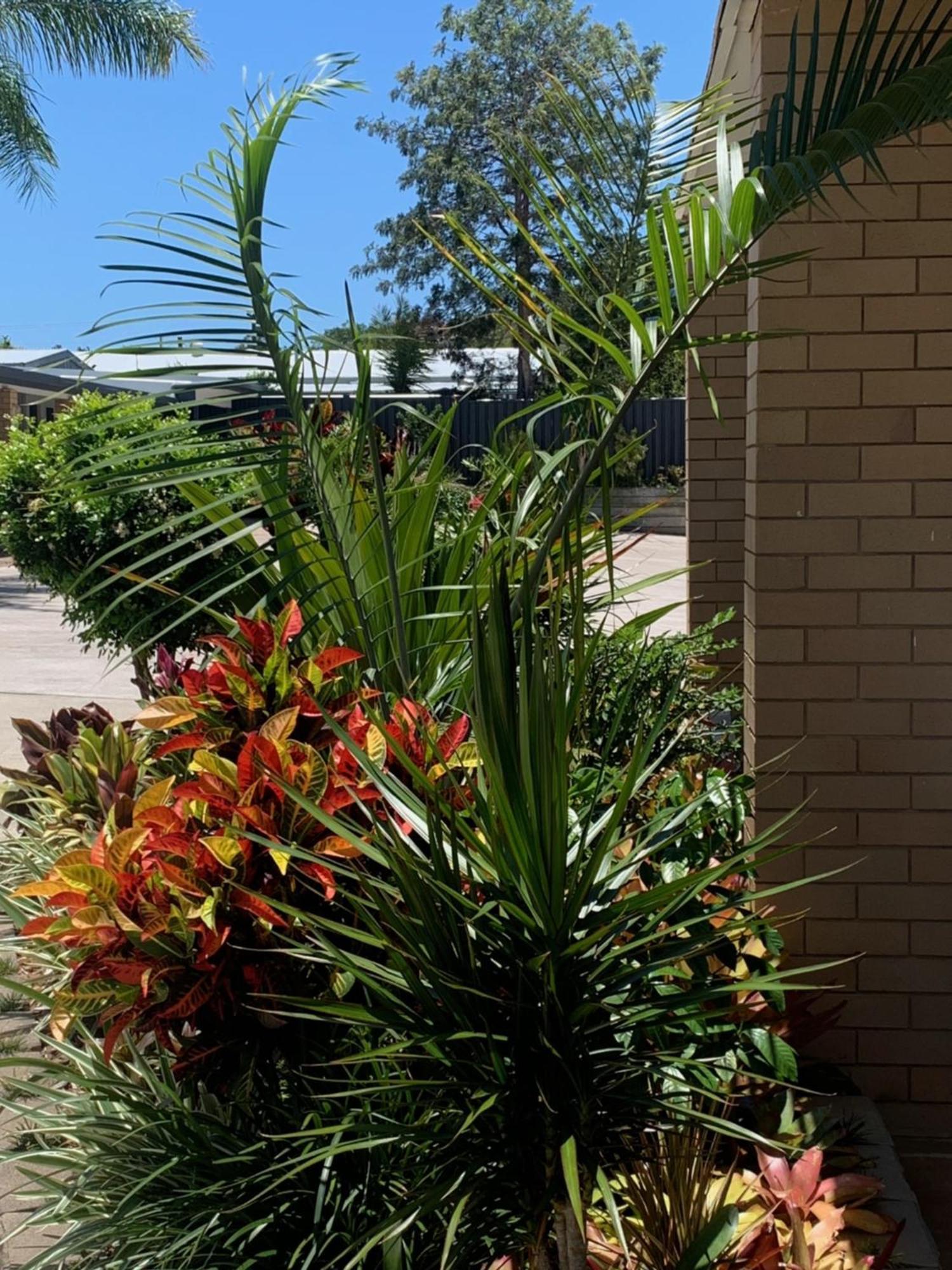 Motel Shady Rest